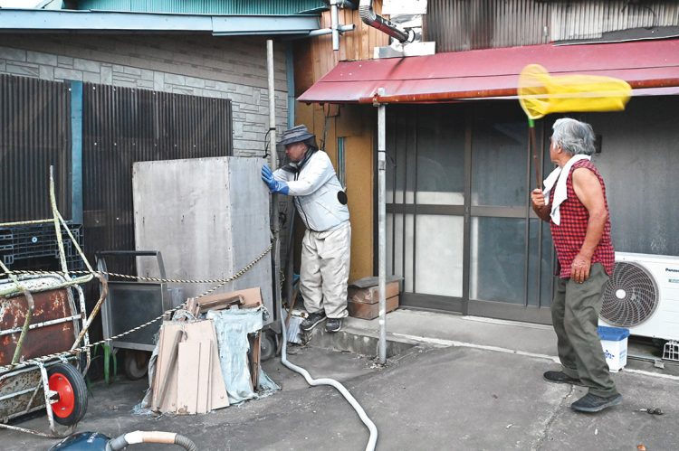 敷地内の作業場に立てかけて置いてある大きな収納箱に出入りするモンスズメバチを吸い取り機と網で生け捕りする