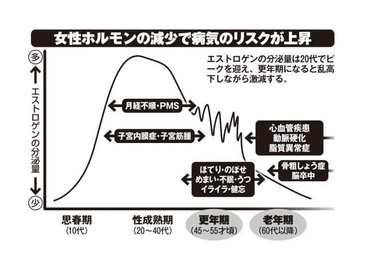 女性ホルモンが減ると病気のリスクが上昇する