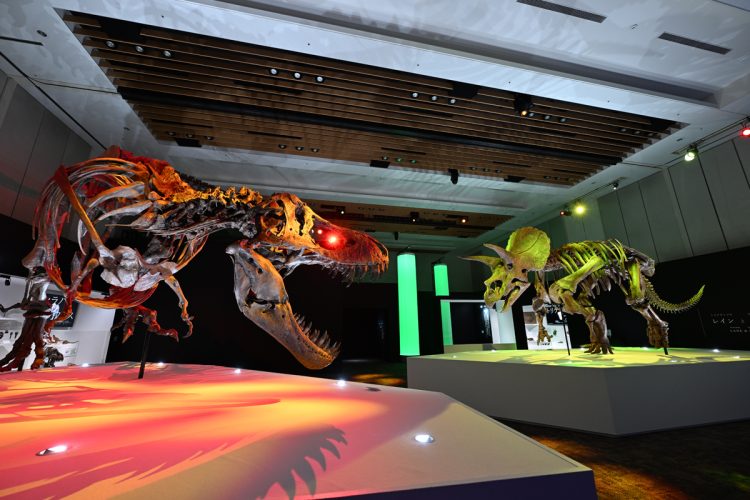 18時から照明がナイトモードに