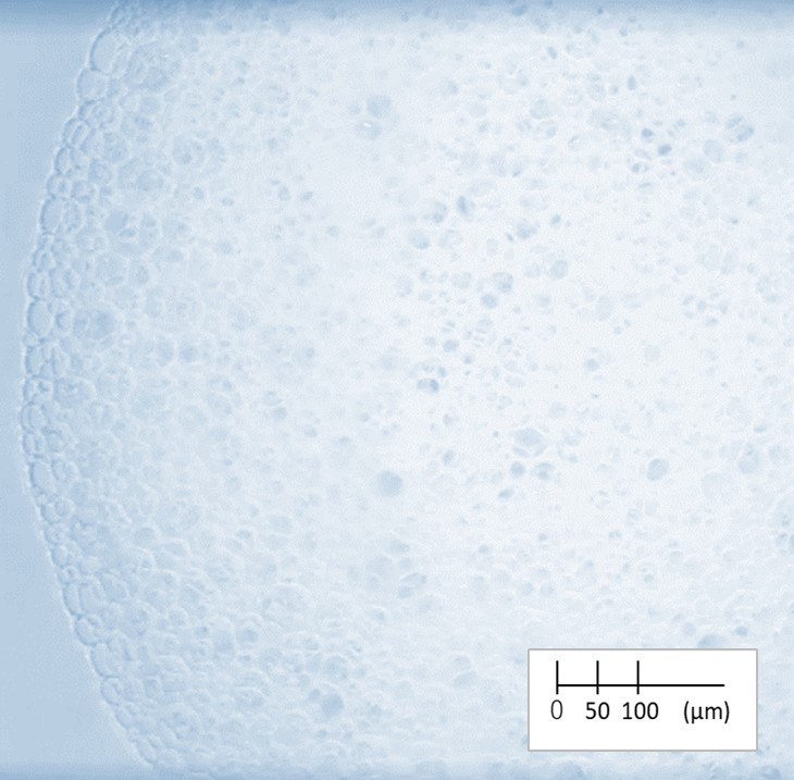『AWANIST』の泡（『AWANIST』で生成した泡の細かさが一目瞭然〈光化学顕微鏡画像〉）