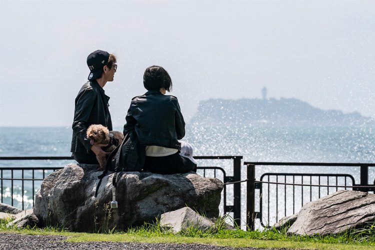 湘南の海を見つめる二人の背中