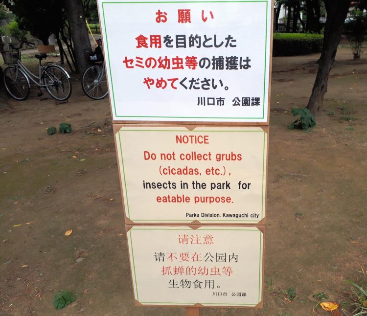 2018年、埼玉県内の公園に設置された「セミ乱獲防止」の看板。現在は撤去（時事通信フォト）