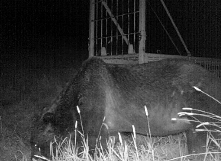 足かけ4年に及んだ長き戦いは終焉を迎えた一方で…（写真／北海道釧路総合振興局提供）