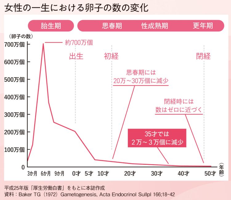 女性の一生における卵子の数の変化