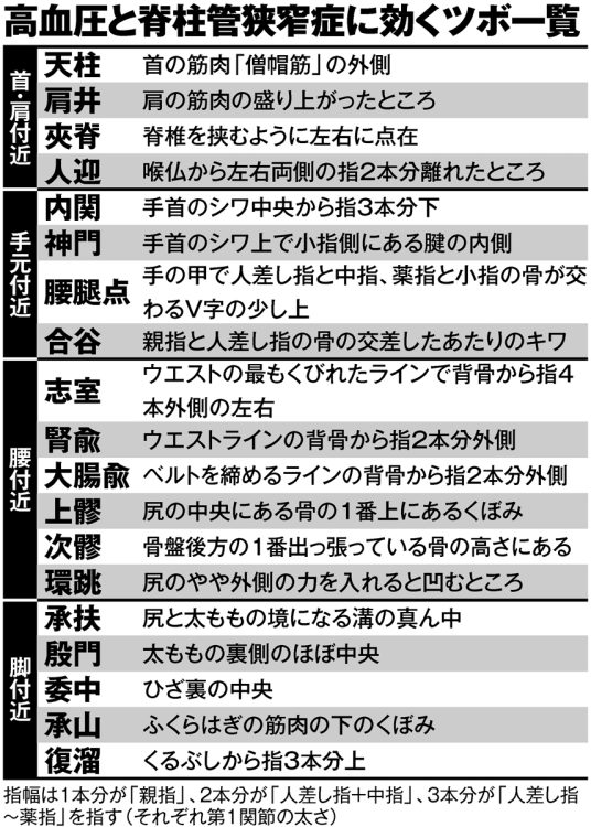 高血圧と脊柱管狭窄症に効くツボ一覧