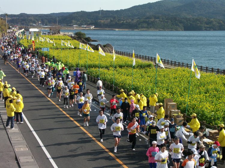 満開の菜の花畑が清々しい「いぶすき菜の花マラソン」（写真提供／いぶすき菜の花マラソン