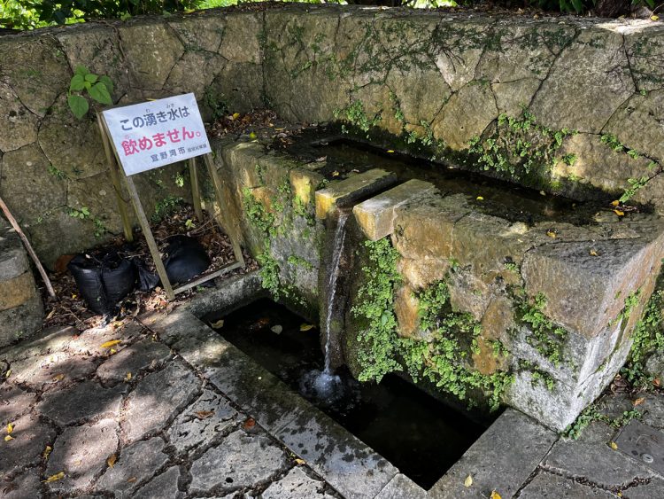 PFASの合計値８９０ngが検出された宜野湾市の湧水「喜友名泉」