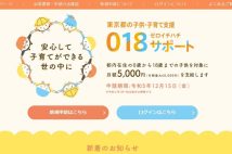 「恐ろしく面倒くさい!」18歳以下に年6万円支給、東京都の「018サポート」を申請してみた 手続き時に直面する「3つの難所」とは?