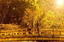 中高年が旅行をより楽しむ秘訣 “ペット同伴旅行”という生きがい見つけて、家族との関係性が良くなった男性も