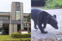 苦情が殺到している町役場(時事通信フォト)