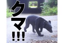 秋田県ではクマの出没について注意喚起している(同県HPより)