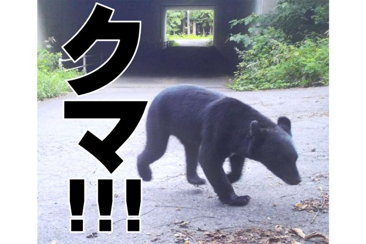 秋田県ではクマの出没について注意喚起している（同県HPより）