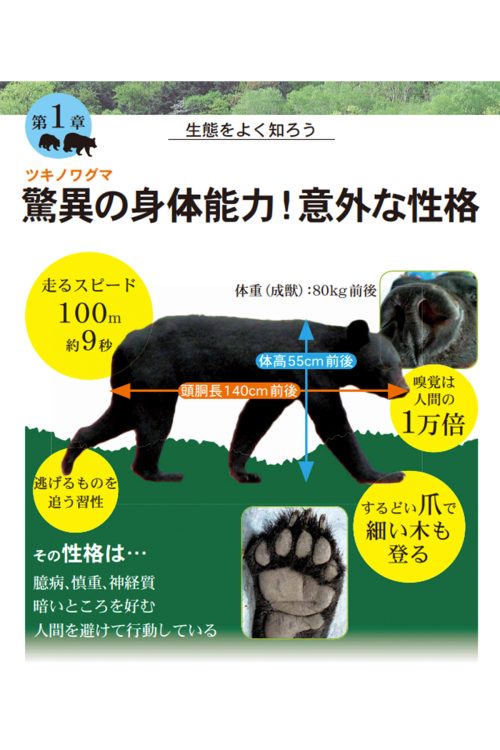 秋田県ではクマに関する正しい情報を広める努力も行なっている（同県が発行するクマ注意喚起用の冊子より）