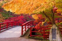 (写真/アフロ)