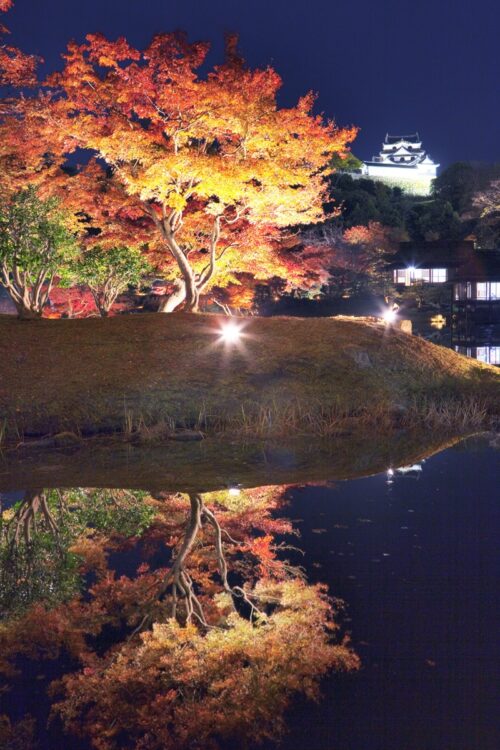 六義園（写真／アフロ）