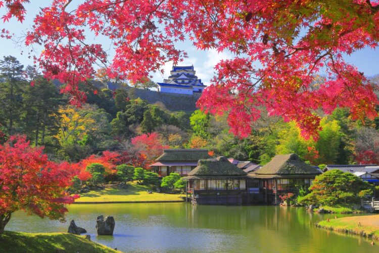 六義園（写真／アフロ）