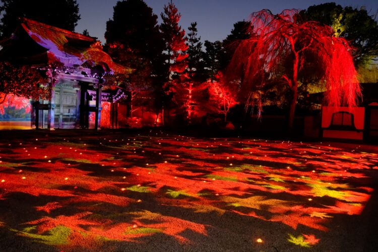 高台寺（写真／PIXTA）