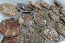 「ホタテだけでは終わらない」 中国がまだ握っている“日本の食を揺さぶる強力なカード”