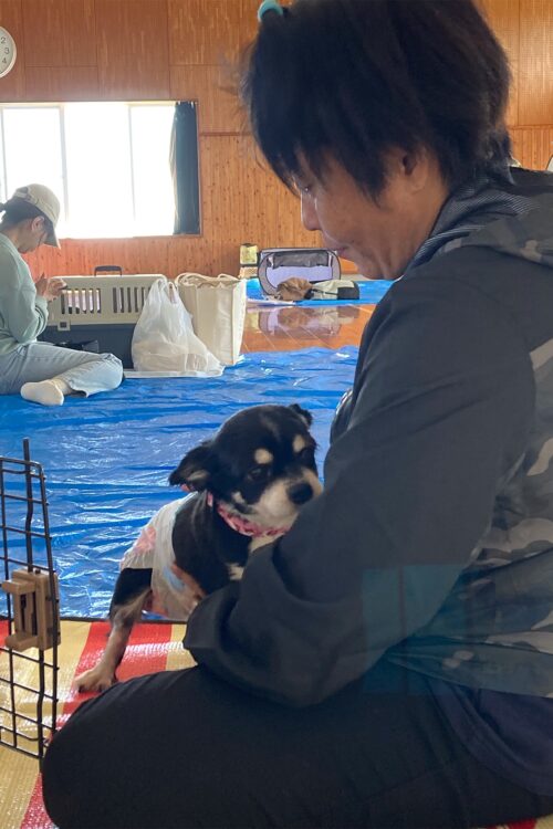 大好きな飼い主に甘えるワンちゃん。飼い主がそばにいることで、ペットは皆、落ち着いた様子を見せた