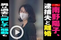 【動画】南野陽子、逮捕夫と離婚　男は過去に「隠し子」騒動も