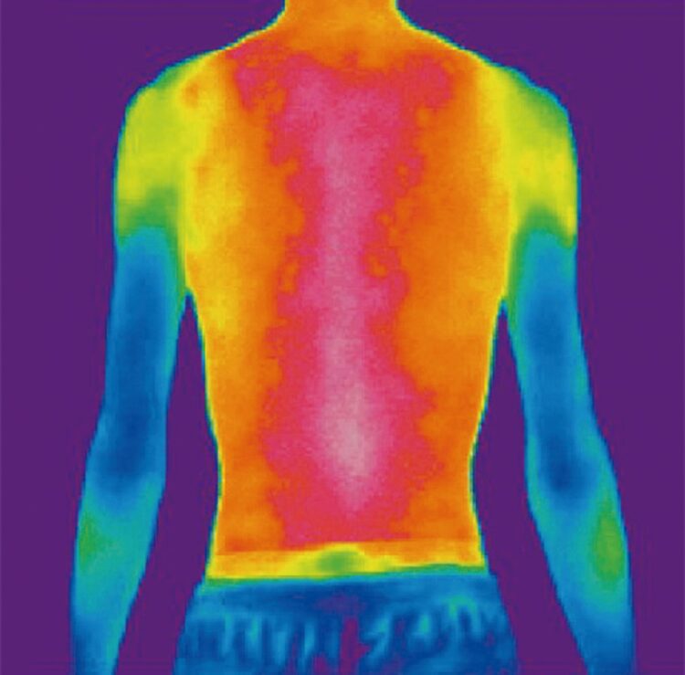 広範囲に働きかけるので、点ではなく面での効果が得られる