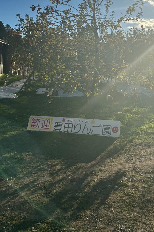 「豊田りんご農園」は7ヘクタール以上の面積を誇る
