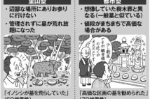 安価な“里山型”の樹木葬で注意すべき大自然ゆえのトラブル 「イノシシが遺骨を食べていた」「山が荒れて埋葬場所が分からない」