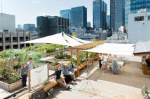 東京を”食べられる森”に! 渋谷や新宿などに農園が続々登場している理由「トーキョーアーバンファーミング(Tokyo Urban Farming)」