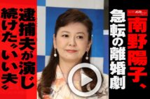 【動画】南野陽子、急転の離婚劇　逮捕夫が演じ続けた“いい夫”