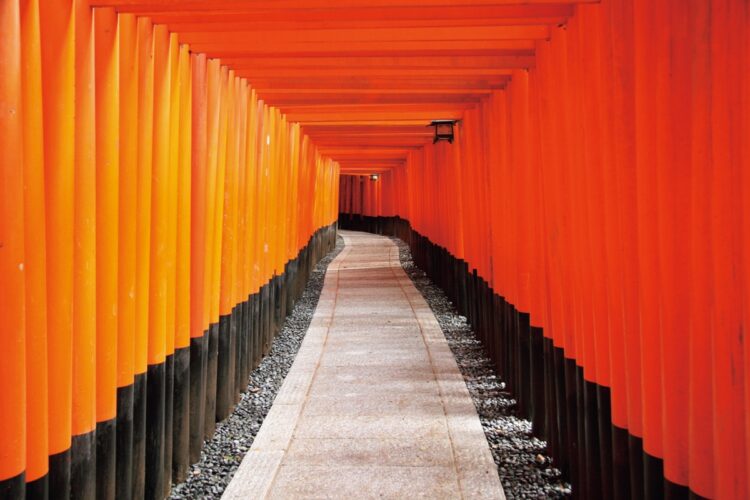 朱色の鳥居が建ち並ぶ「千本鳥居」は祈願と感謝のあかしとして奉納される