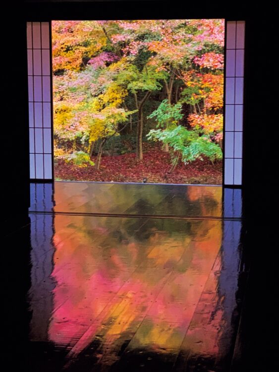 22年前にNHKで初めて紹介された「元祖床もみじ」は季節の風物詩として愛されている。客殿「滝の間」の黒い床が真っ赤に染まる光景は、まさに息をのむ美しさ
