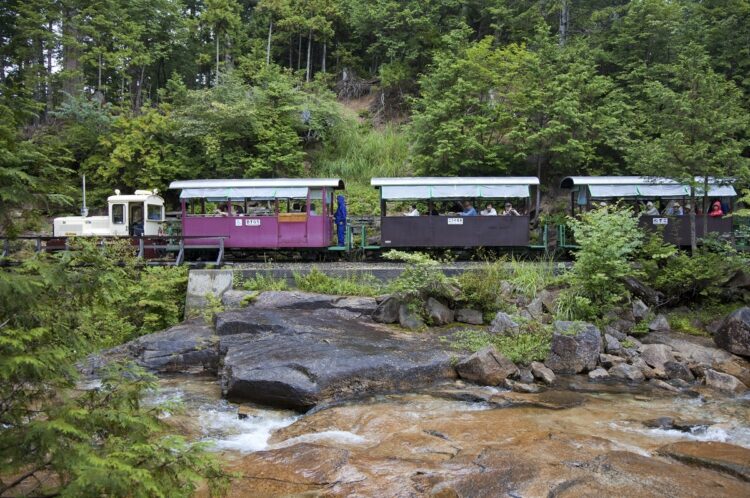 赤沢美林（長野県木曽郡上松町）を走る森林鉄道のトロッコと道川（時事通信フォト）