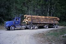 林業はカナダの主要産業のひとつ。ブリティッシュコロンビア州バンクーバー島で材木を輸送する様子（イメージ、dpa/時事通信フォト）