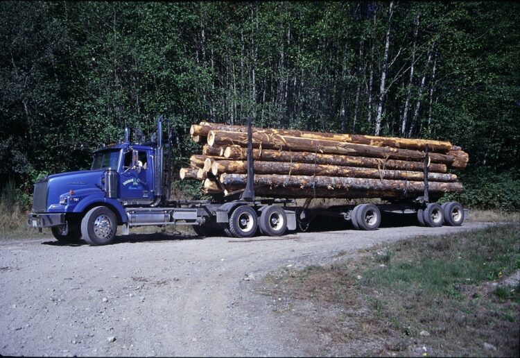 林業はカナダの主要産業のひとつ。ブリティッシュコロンビア州バンクーバー島で材木を輸送する様子（イメージ、dpa/時事通信フォト）