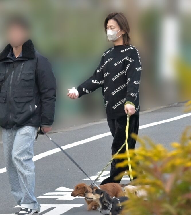 氷川きよし（46才）が3匹の愛犬を連れて住宅街に