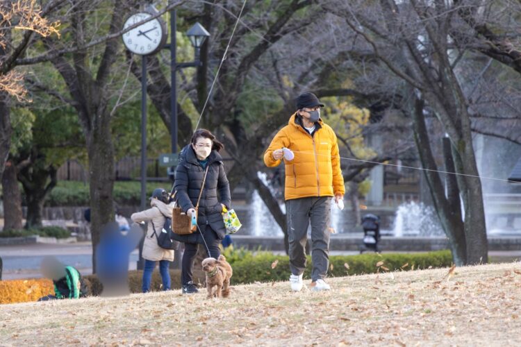 三浦家は毎年、全員分のだるまを購入するという