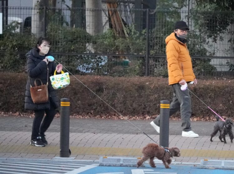 だるまを購入した百恵さん・三浦友和