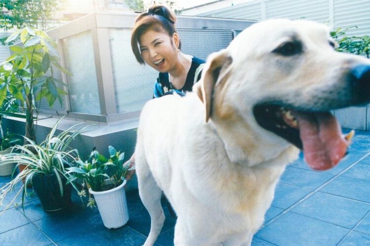 愛犬だったゴン太くん