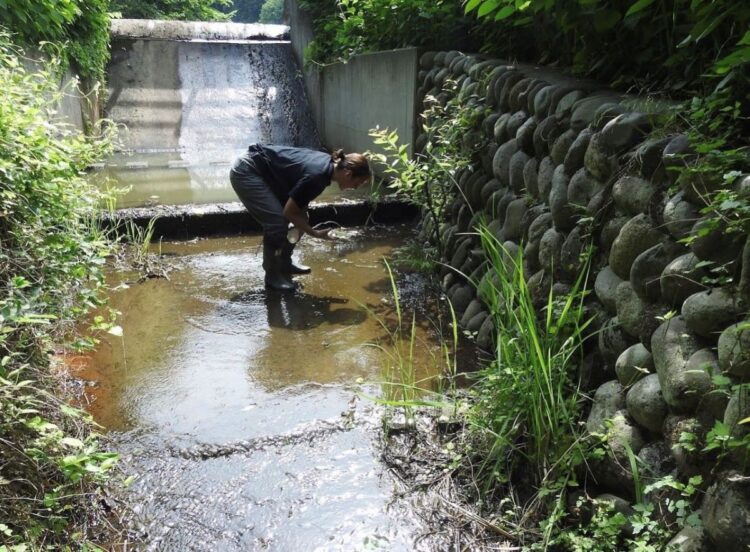 研究者として歩んでいく