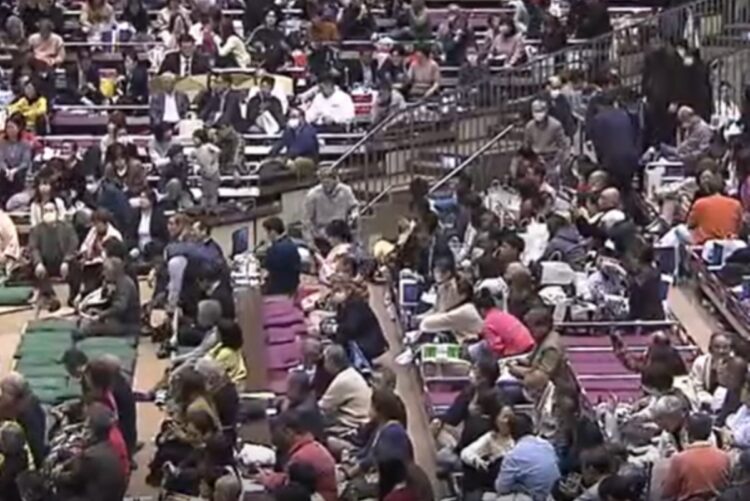 11日目は西花道の横の溜席に話題の「着物美人」が姿を見せた