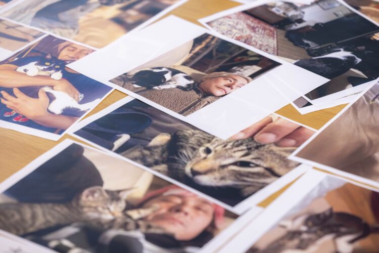 取材場所の机に敷き詰められた愛猫たちの写真を見ながら、対談は和やかに進んだ