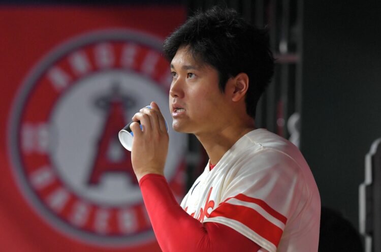 大谷が試合中に食べているひまわりの種を片手に応援するのもおすすめ。大谷のお気に入りは「DAVID」（時事通信フォト）