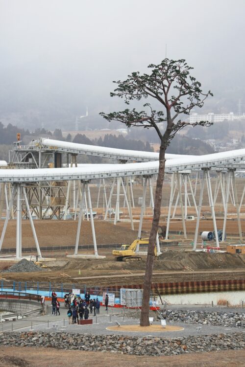【2015年2月11日】最大12メートルに及ぶ陸前高田市の嵩上げのため、一本松の背後に巨大なベルトコンベアが設置された