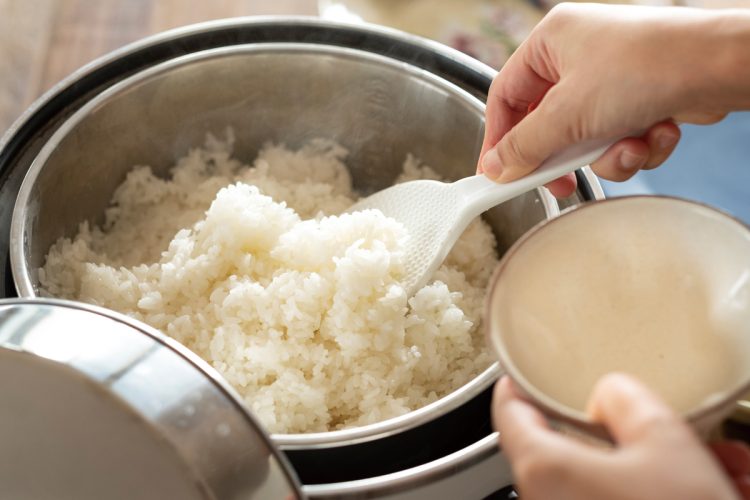 ご飯もおいしい