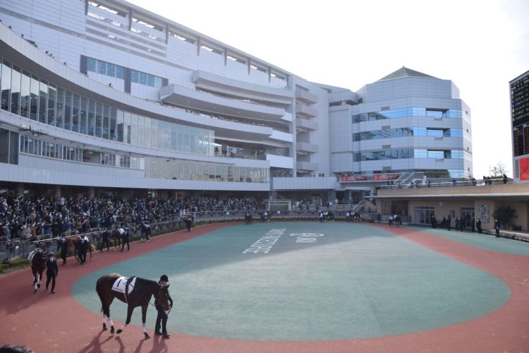 中京競馬場のパドック