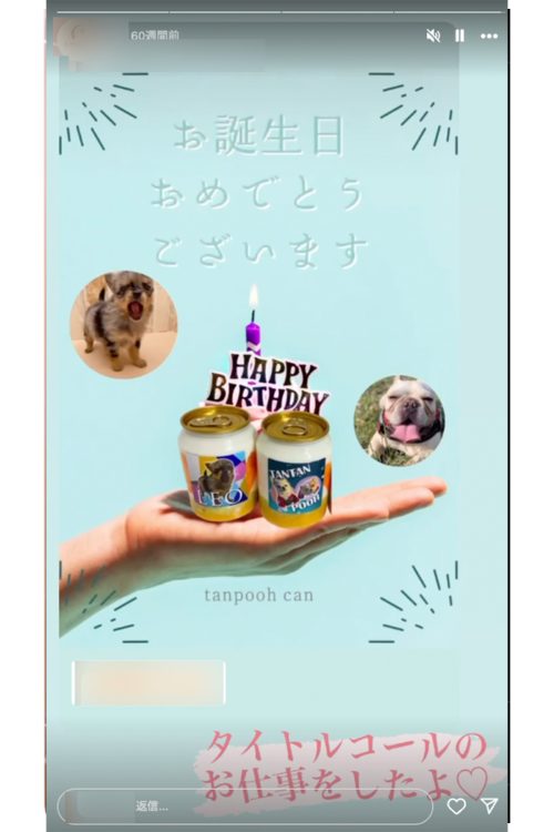 ケーキ缶には「LEO」「TANTAN POOH」と書かれた写真が貼られている