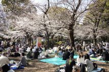 2023年3月、飲食を伴う宴会が4年ぶりに解禁された上野公園で花見を楽しむ人たち（時事通信フォト）