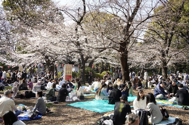 2023年3月、飲食を伴う宴会が4年ぶりに解禁された上野公園で花見を楽しむ人たち（時事通信フォト）