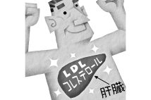 LDL（悪玉）コレステロールに対する誤解や思い込みに注意（イラスト／いかわやすとし）