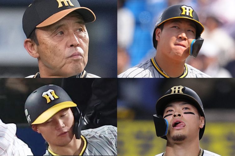阪神タイガース 森下翔太 選手 直筆サインボール はまり ロゴ球